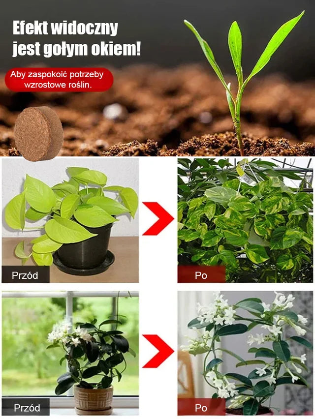 Δέκα χρόνια θρεπτικό έδαφος καρύδας χωρίς λίπανση Ένα τούβλο = 10 χρόνια γονιμότητας! Πίτουρο καρύδας + θρεπτικοί κόκκοι βραδείας αποδέσμευσης, καλλιέργεια λουλουδιών και λαχανικών χωρίς λίπανση!