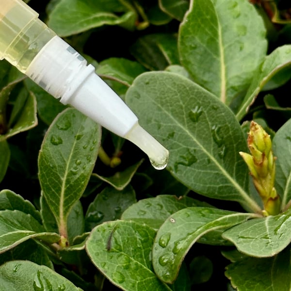 【Έκπτωση περιορισμένης διάρκειας: Αγοράστε 1, πάρτε 2 δωρεάν】KeraStrong - Το ελιξίριο αναδόμησης νυχιών - 50% έκπτωση