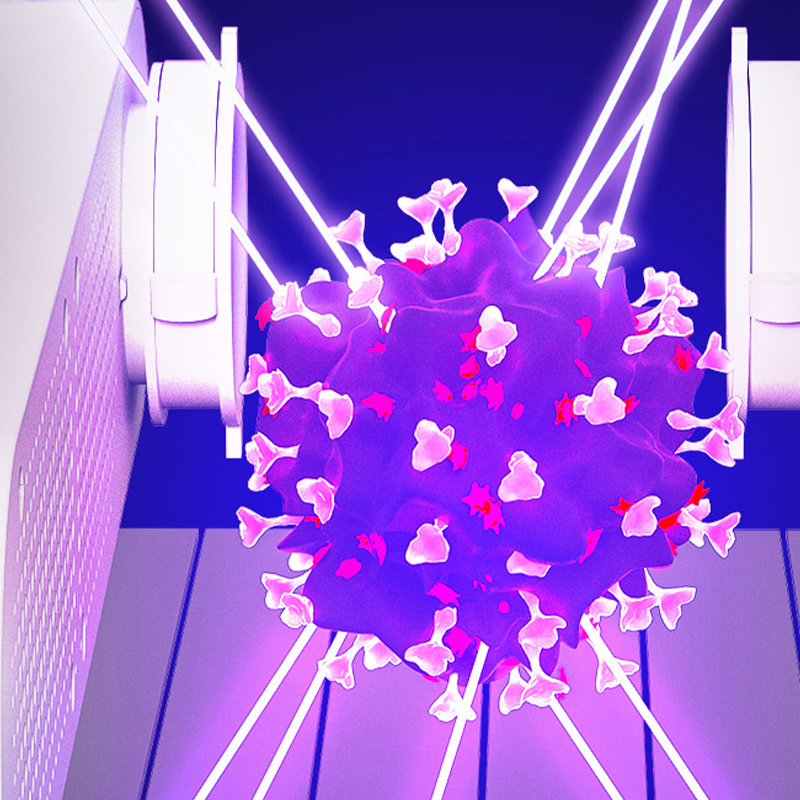 🔥Απαραίτητο για τον χειμώνα του 2025: Προσφορά περιορισμένης διάρκειας! Ηλεκτρικό στεγνωτήριο παπουτσιών UV με χρονοδιακόπτη